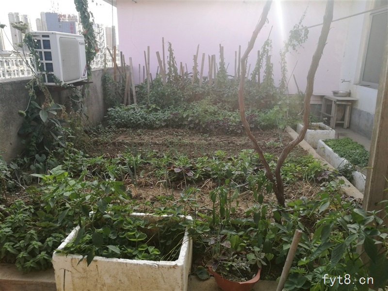 抢租德福原165平三居室领包入住可看房年付1.5万